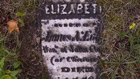 To Bloom In Heaven - Stanton-Pioneer-Cemetery2.jpg