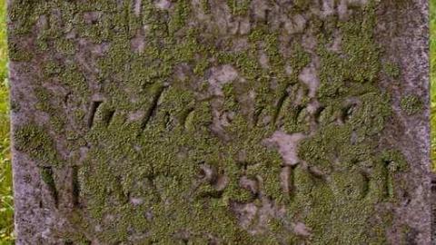 To Bloom In Heaven - Stanton-Pioneer-Cemetery7.jpg