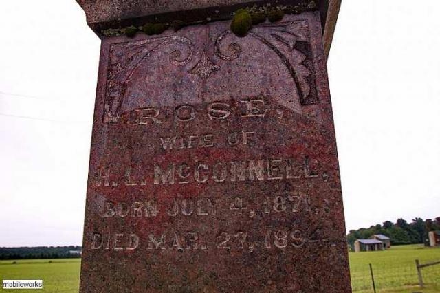 Berean / Hankinson Cemetery photo 5