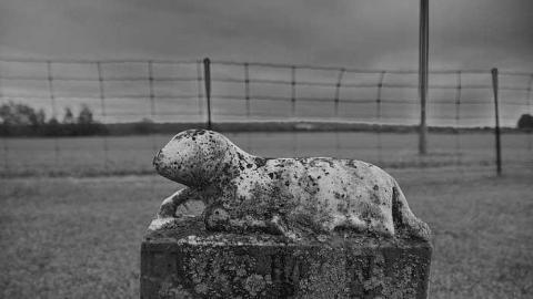 Ken's Farm - Berean--Hankinson-Cemetery23.jpg