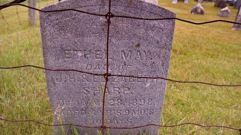 Ken's Farm - Berean--Hankinson-Cemetery1.jpg