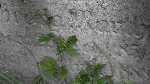 Easy To Nith - Cemetery-Of-The-Baptist-Mission19.jpg