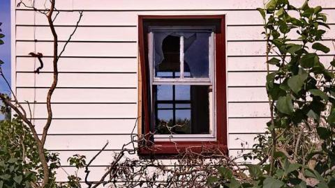 Balancing Act photo 4