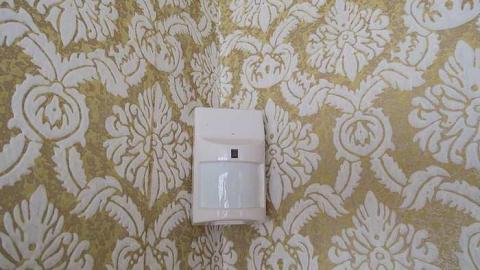 groovyyyy - IMG_3738.jpg