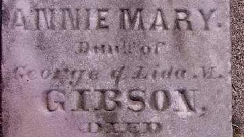 Called Hence By Early Doom - Wroxeter-Presbyterian-Cairn6.jpg