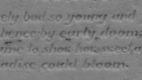 Called Hence By Early Doom - Wroxeter-Presbyterian-Cairn7.jpg