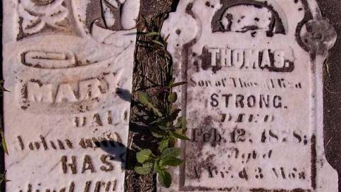 104 Years Of Sorrow - Old-Hunter-Cemetery8.jpg