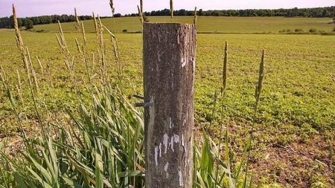 104 Years Of Sorrow - Old-Hunter-Cemetery20.jpg