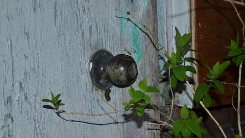 Photo from House out of place