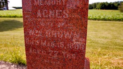 Photo from Our Fairest Flower Faded Away