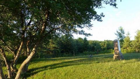 Rowan's Rest - Rowans-Pioneer-Cemetery7.jpg