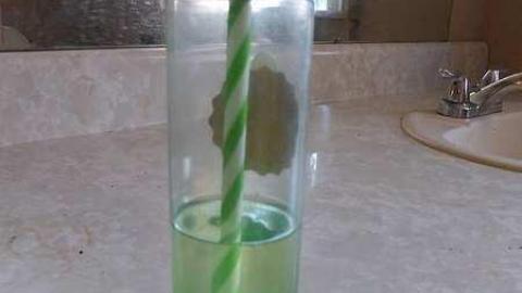 Paula and Family - P1130420.jpg