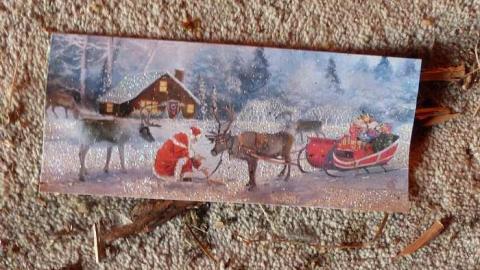 Paula and Family - P1130427.jpg