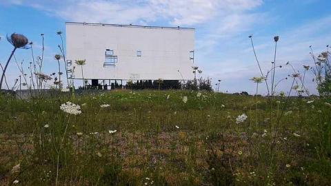 Night at the drive in - Elmvale-Drive-In103.jpg