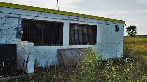 Night at the drive in - Elmvale-Drive-In99.jpg