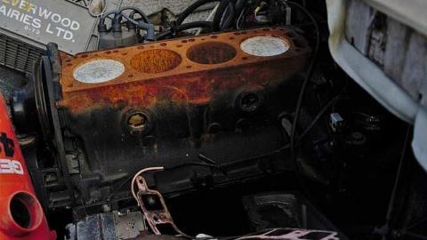 Night at the drive in - Elmvale-Drive-In101.jpg