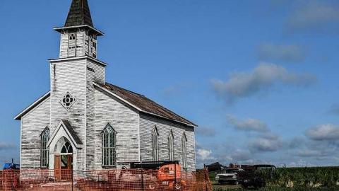 Photo from In the Tall Grass