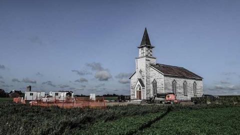 Photo from In the Tall Grass