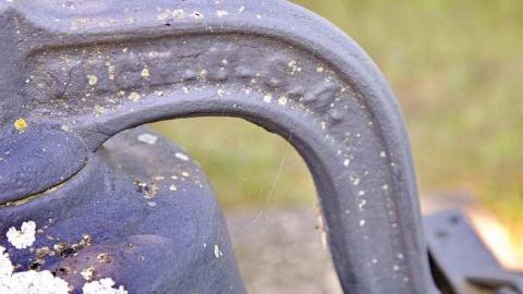 Jackson's Family PioneerCemetery - Brockton, Ontario