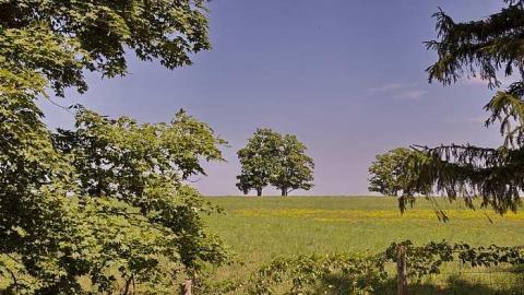 Such An Hour As Ye Think Not - Jacksons-Family-PioneerCemetery14.jpg