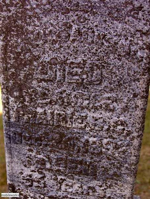 Jackson's Family PioneerCemetery photo 4