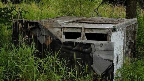 rainy trip - Deepest-Darkest65.jpg