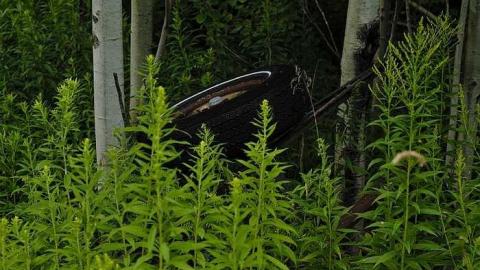 rainy trip - Deepest-Darkest19.jpg