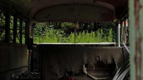 Photo from rainy trip