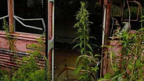 Photo from rainy trip