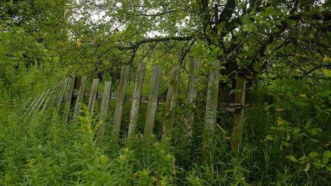 rainy trip - Deepest-Darkest25.jpg