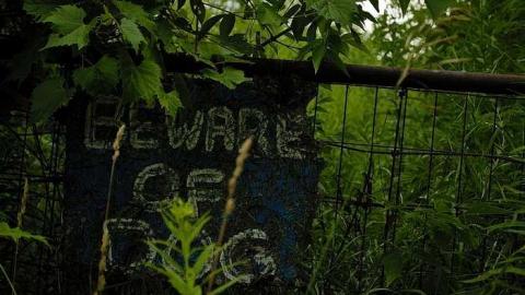 rainy trip - Deepest-Darkest72.jpg