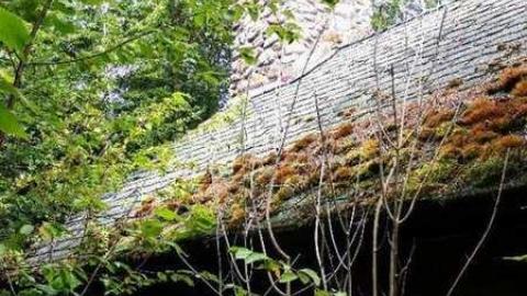 Agawa Lodge - Agawa-Provincial-Park-lodge13.jpg