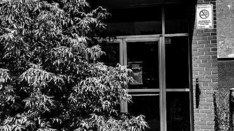 First Ave Public School photo 3