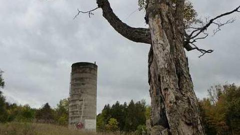 Photo from Autumnal Splendor