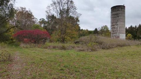 Autumnal Splendor - Stone-Ruins-Belfountain44.jpg