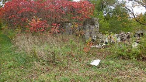 Photo from Autumnal Splendor