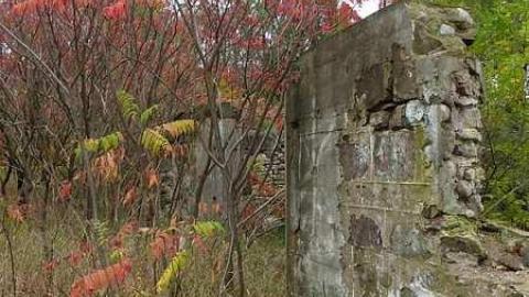 Autumnal Splendor - Stone-Ruins-Belfountain45.jpg