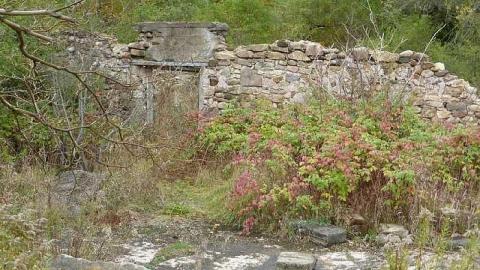 Photo from Autumnal Splendor