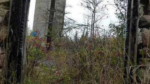 Autumnal Splendor - Stone-Ruins-Belfountain48.jpg