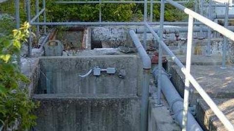 Edgar - CFB-Edgar224.jpg