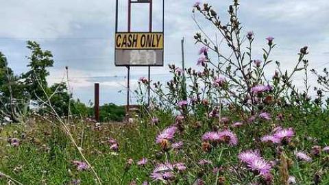 Photo from August 2018