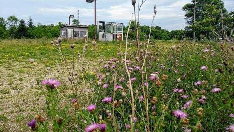 Photo from August 2018