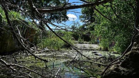 Swim Meet - Abandoned-Pool32.jpg