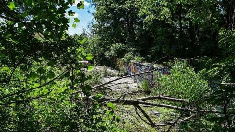 Swim Meet - Abandoned-Pool34.jpg