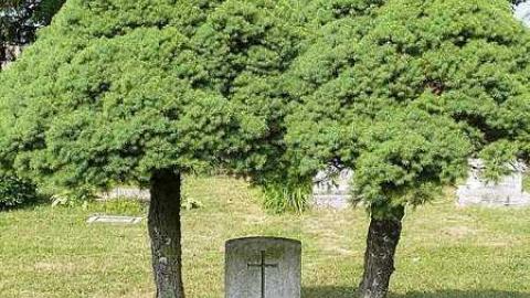 Great War Memorial - Chesterfield-(Ghost-town)15.jpg