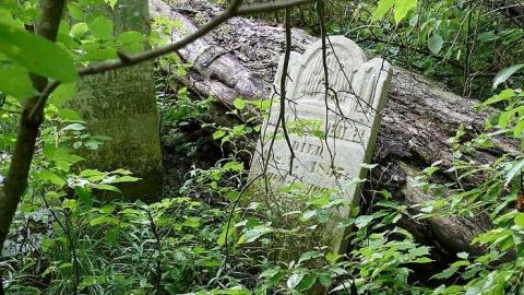 Forget Me Not - The-Forgotten-Ones1.jpg