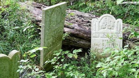 The Forgotten Ones photo 3