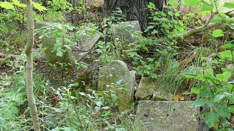 Forget Me Not - The-Forgotten-Ones4.jpg