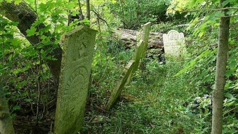 Forget Me Not - The-Forgotten-Ones11.jpg