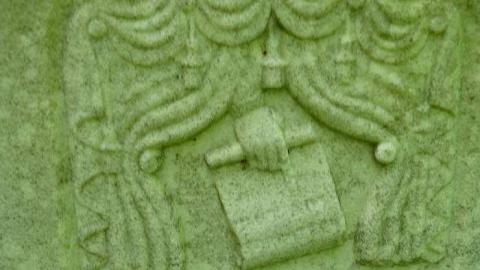 Forget Me Not - The-Forgotten-Ones5.jpg